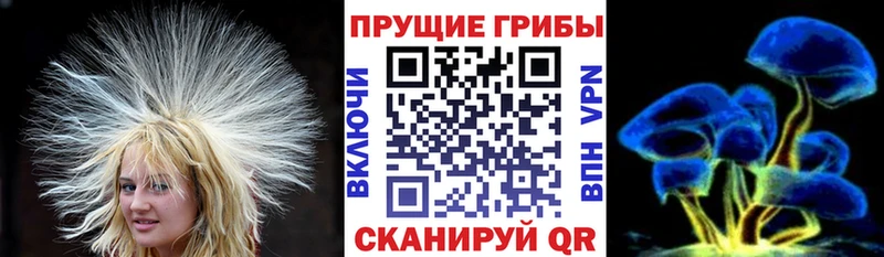 купить  цена  Торжок  Псилоцибиновые грибы мухоморы 